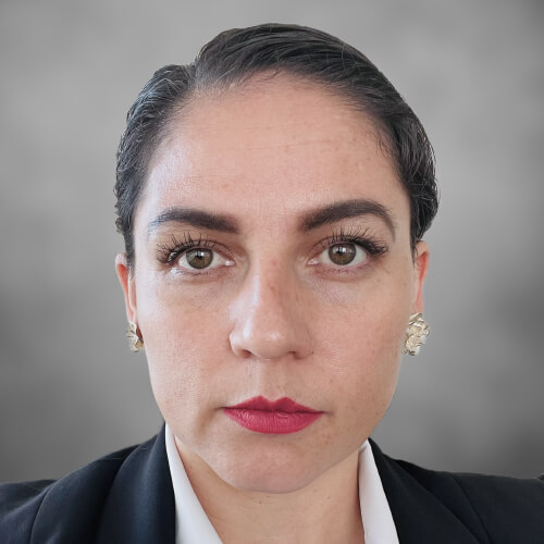 Ing. Arlaé Rosario Díaz Frausto