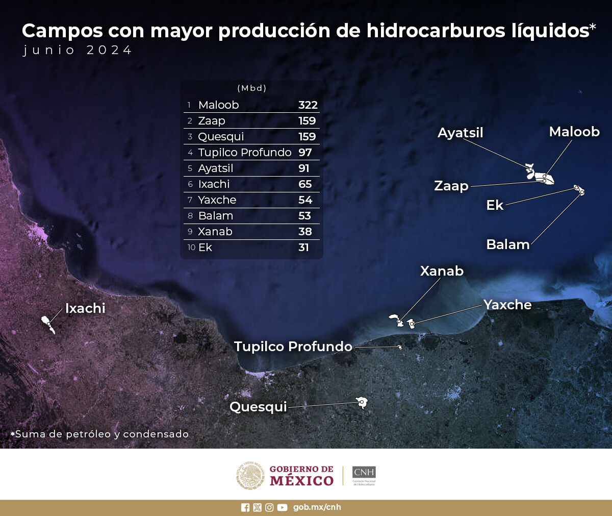 June 2024: Top Hydrocarbon Fields in Mexico📊